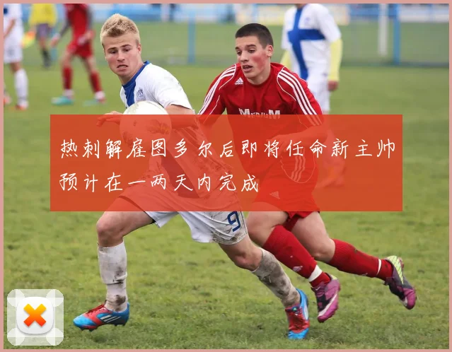 热刺解雇图多尔后即将任命新主帅预计在一两天内完成